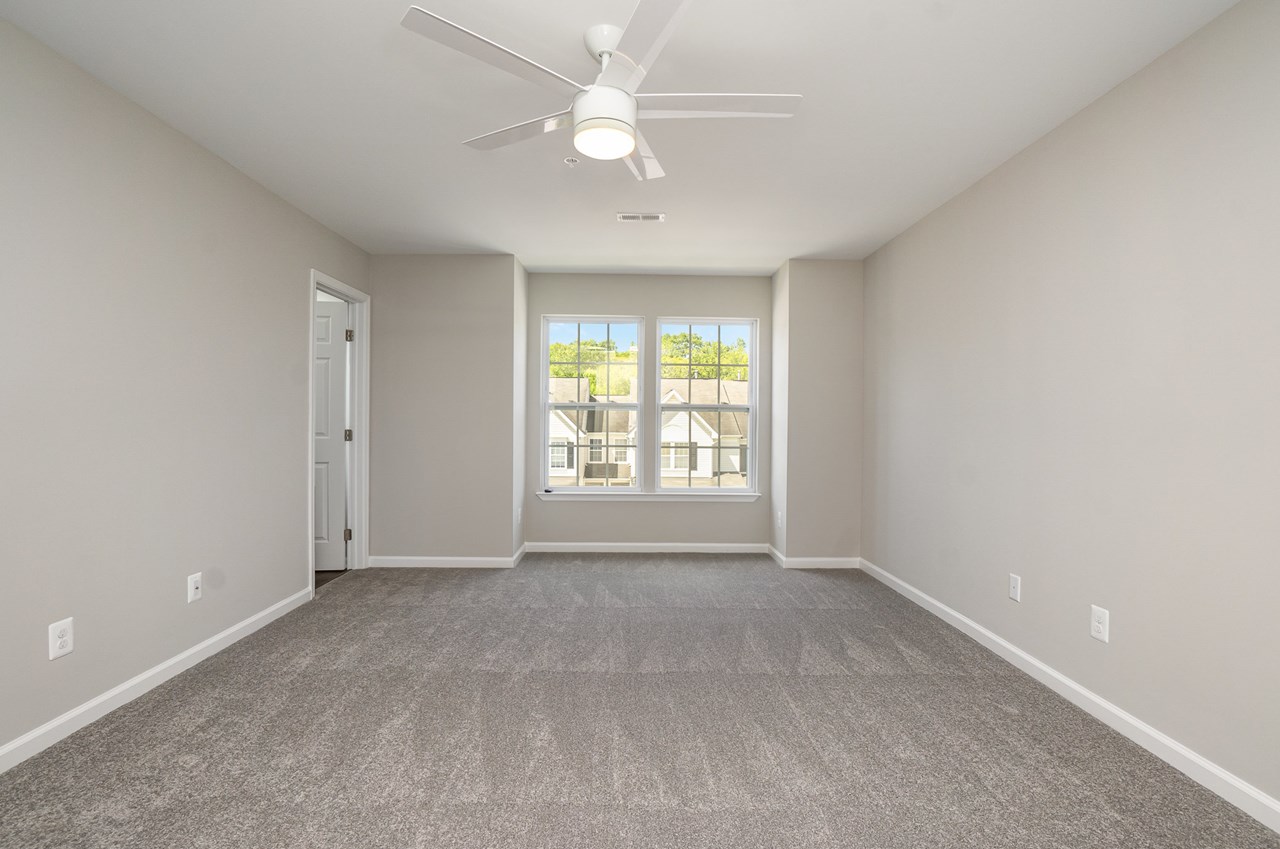 primary bedroom with walk in closet & new carpet/paint