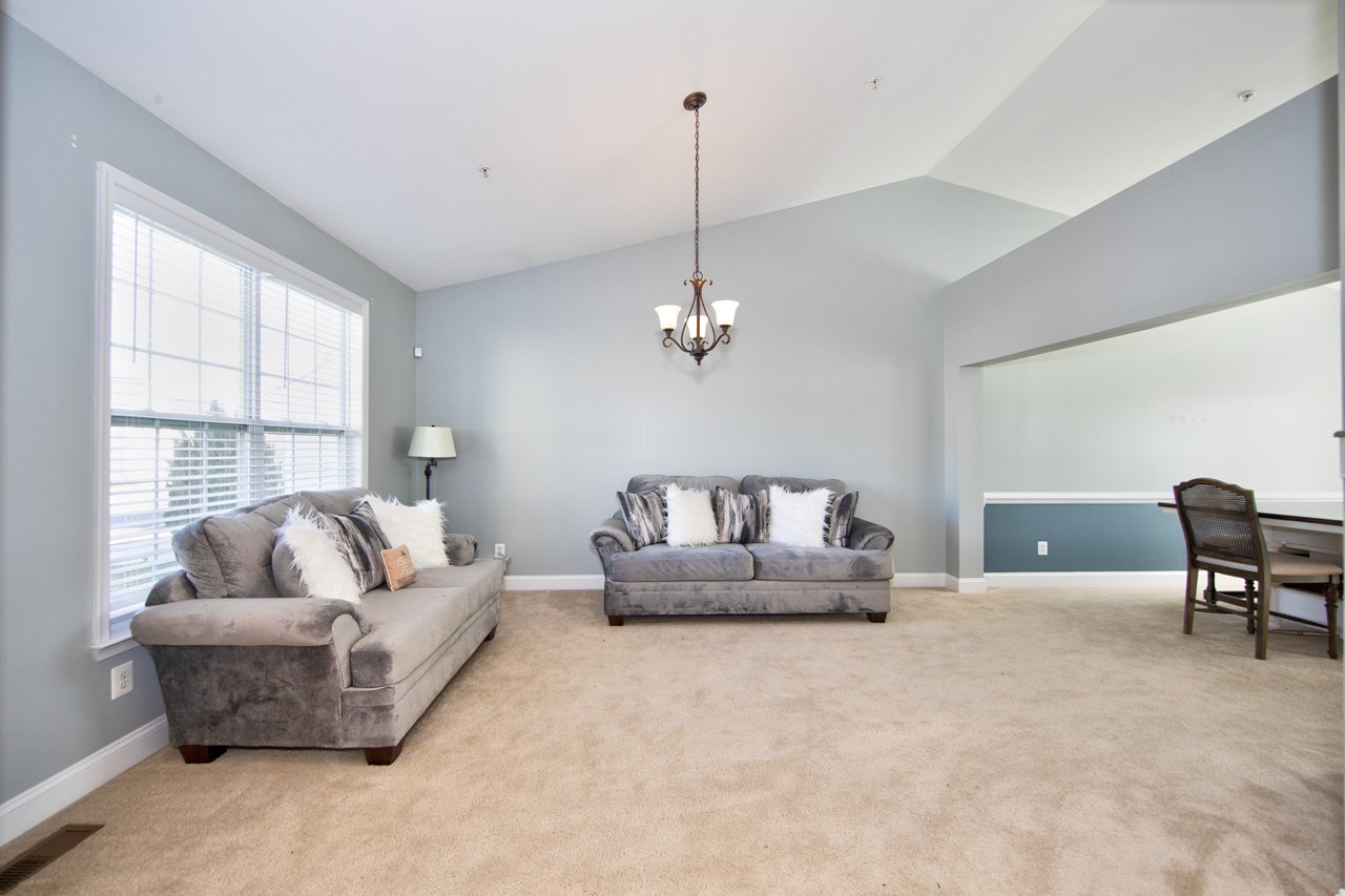 living room with vaulted ceilings