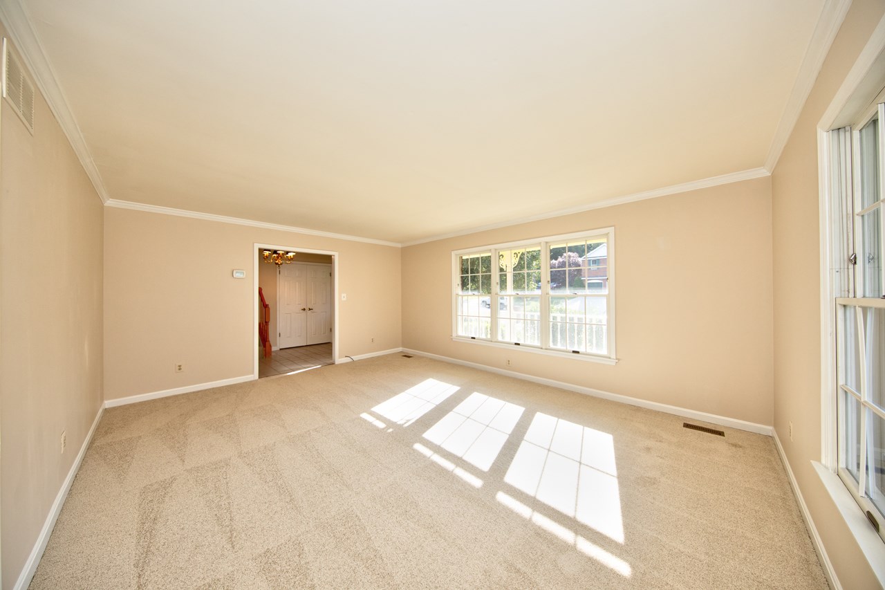 living room with new carpet & paint