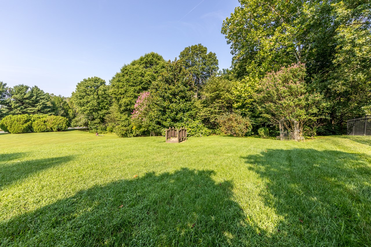 rear yard backing to trees