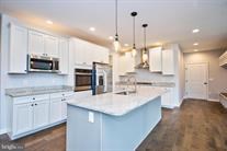 gourmet kitchen with plenty of cabinets