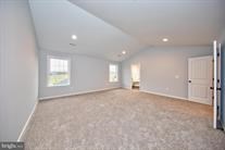 primary bedroom w/ vaulted ceiling