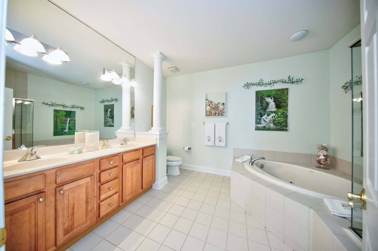 primary bathroom with soaking tub & shower