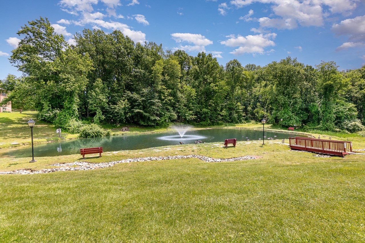community pond for fishing