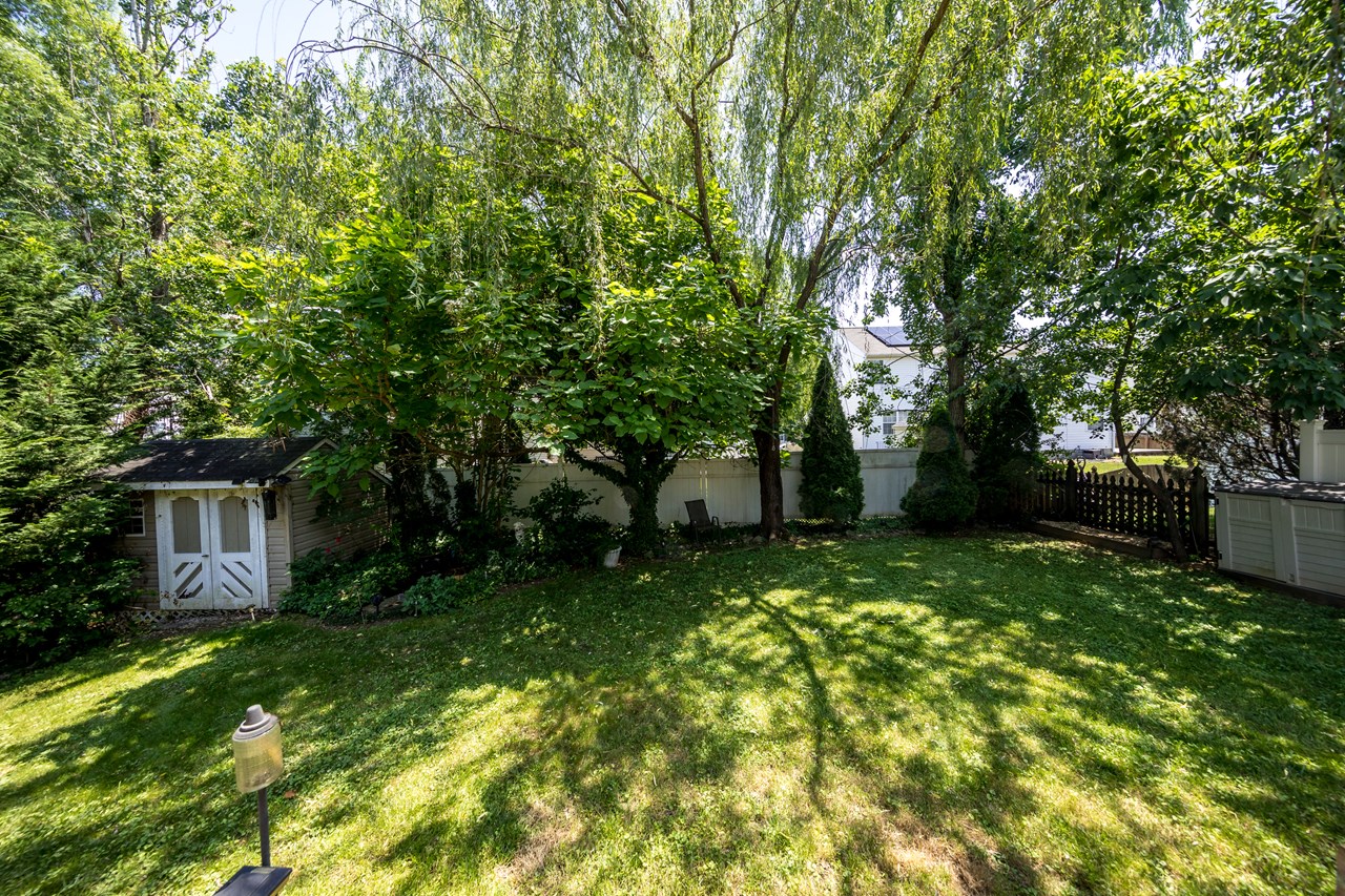 fenced backyard