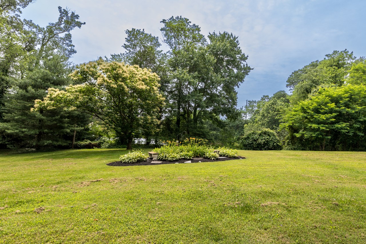 rear yard