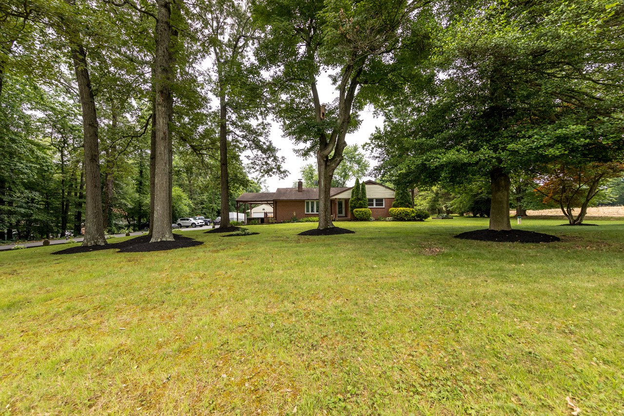 front grounds