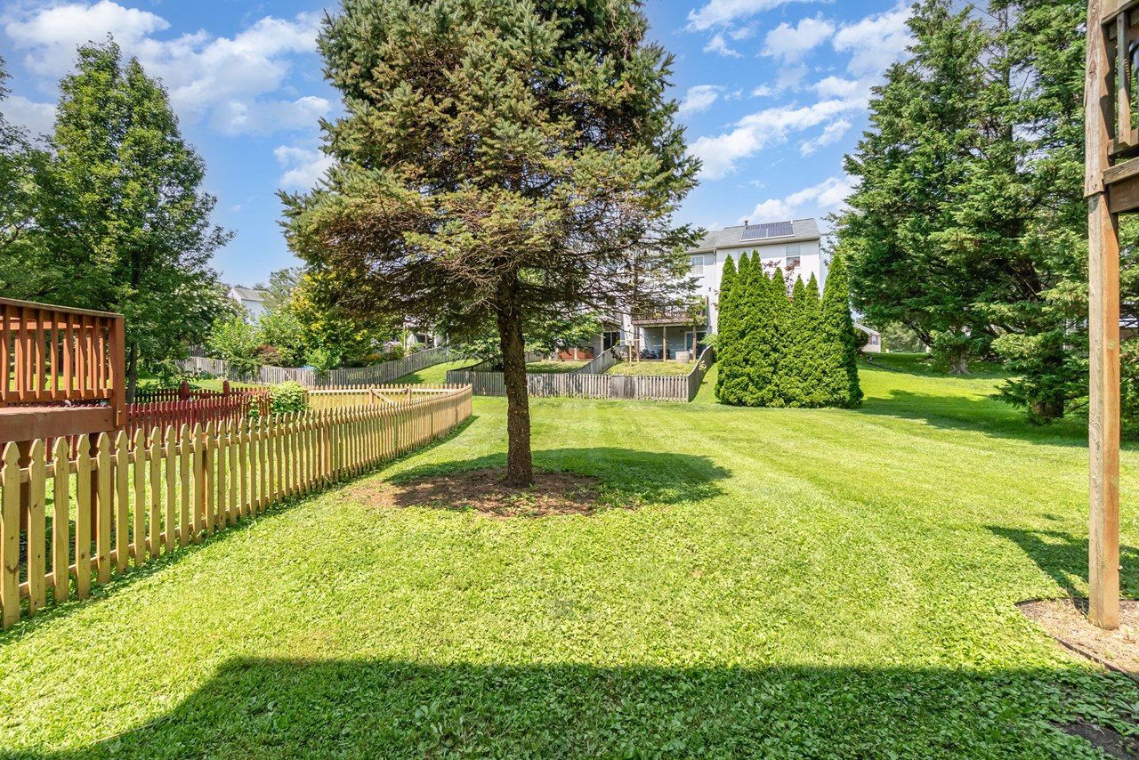view of rear yard