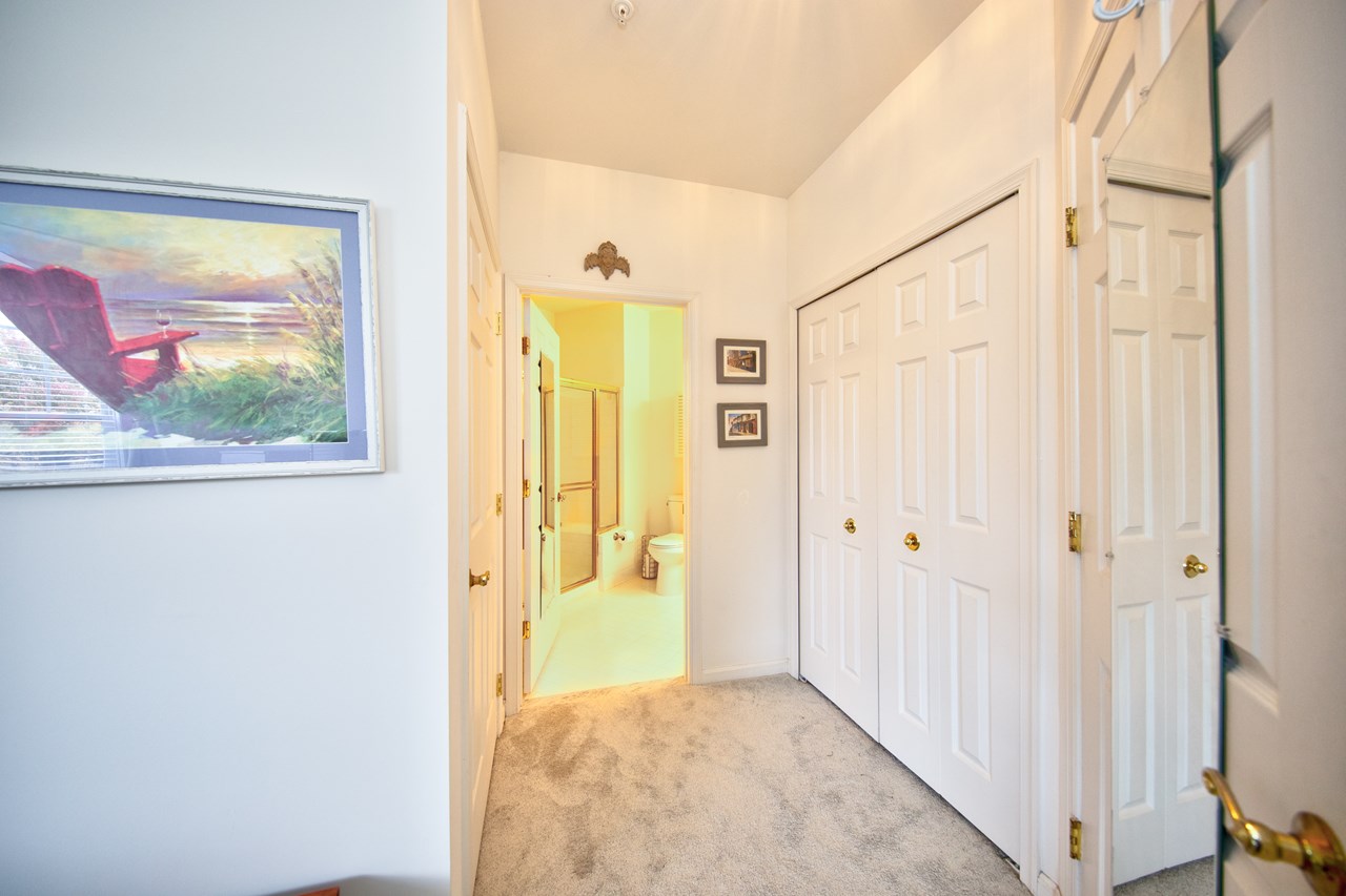 primary bedroom with walk in closet