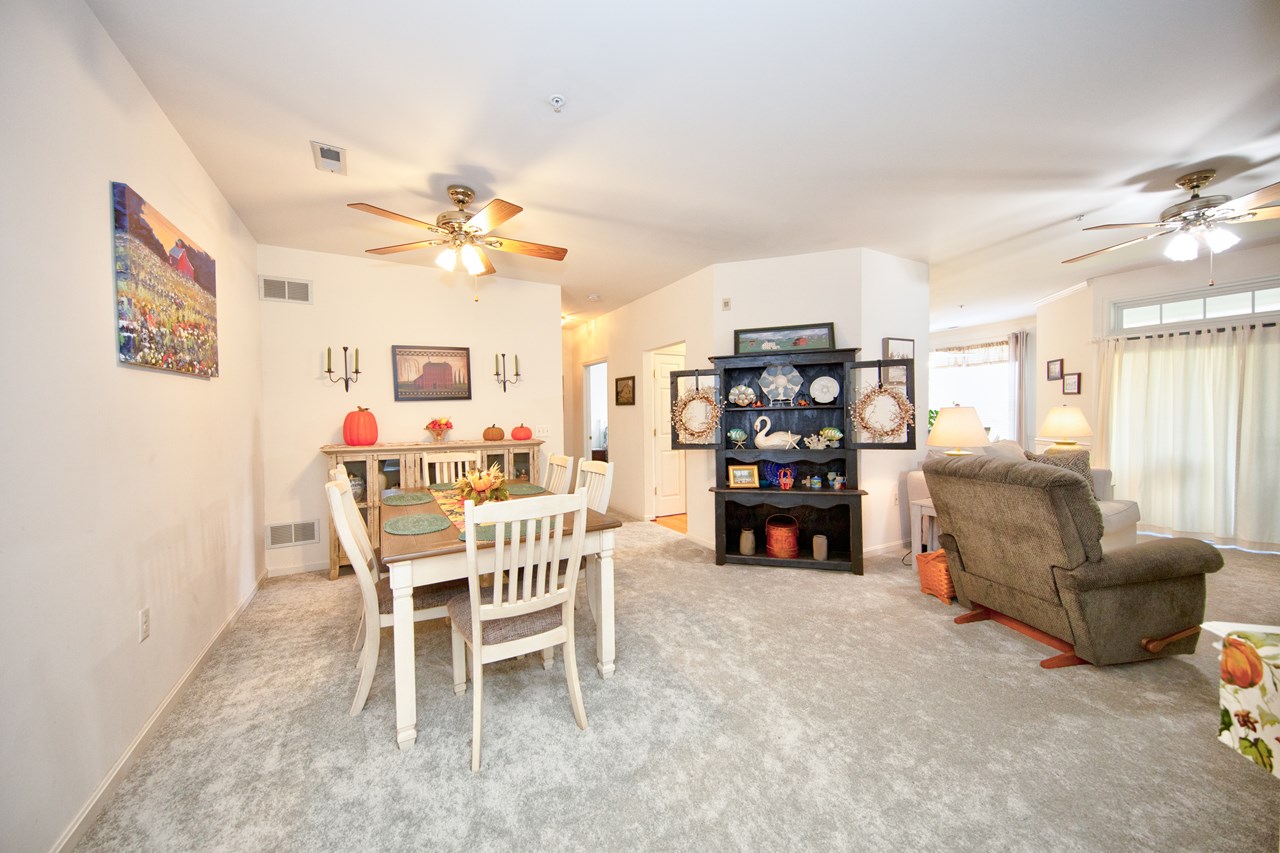 gorgeous new carpet throughout