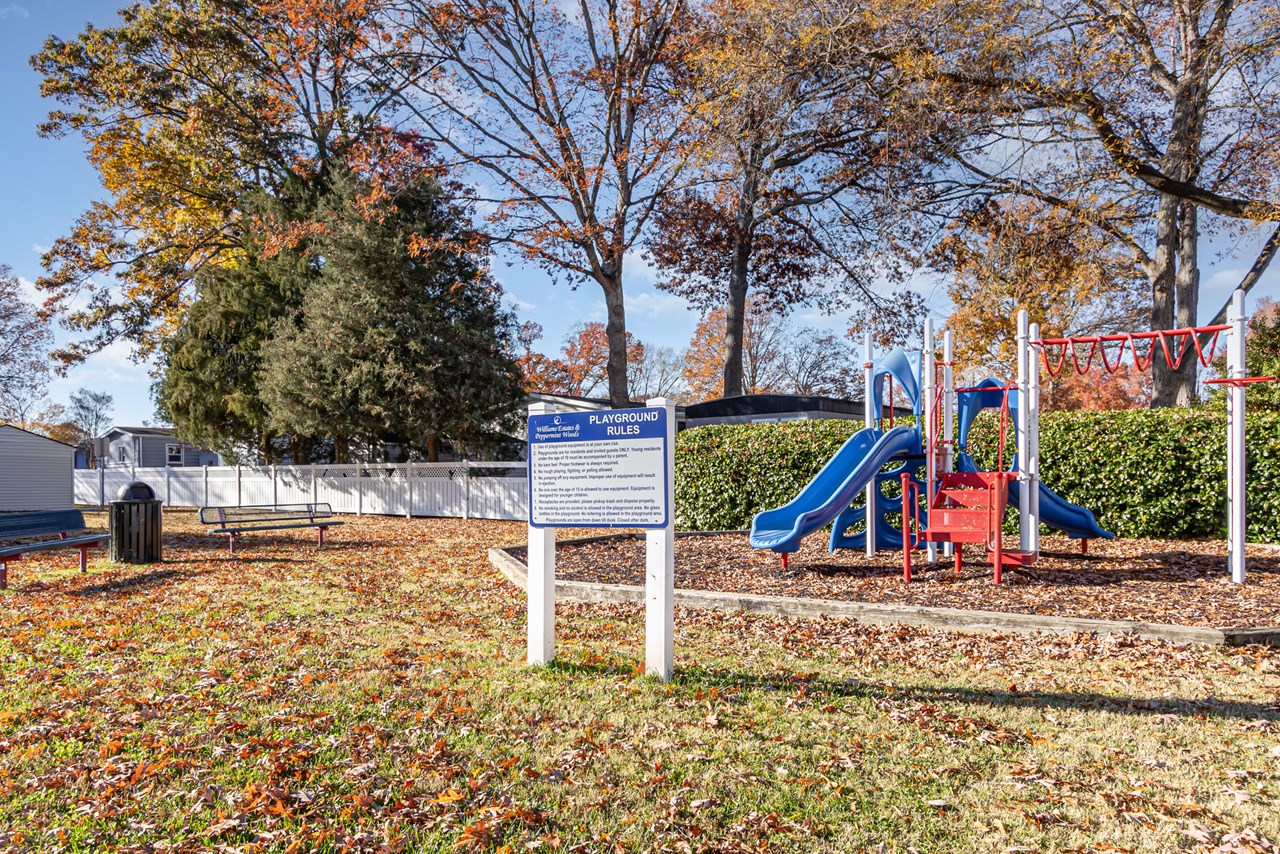 community playground