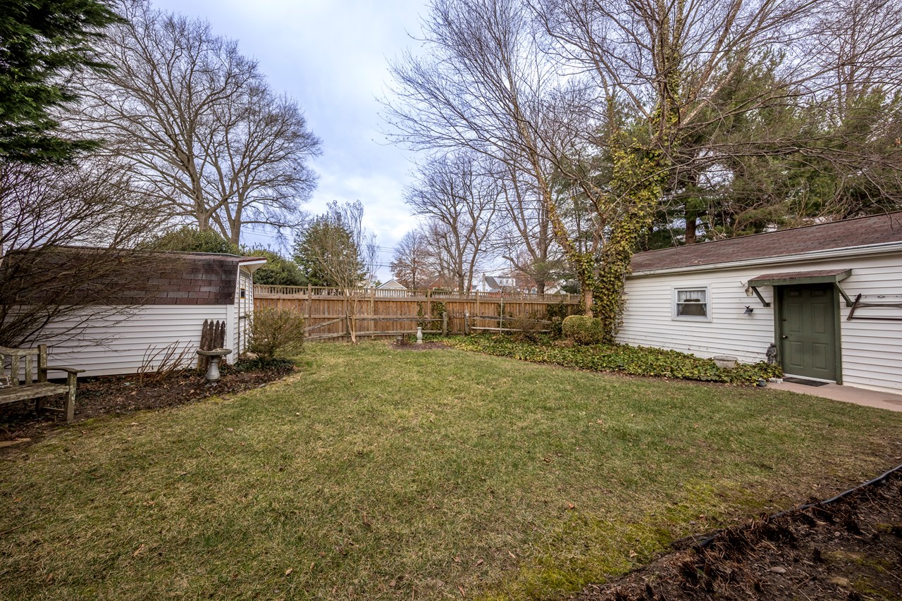 backyard with shed