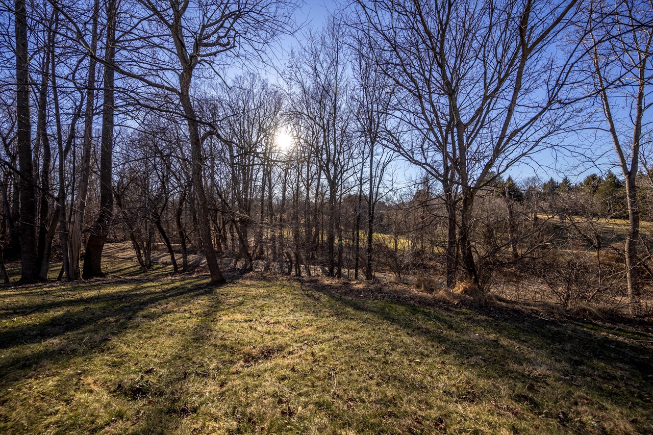rear yard