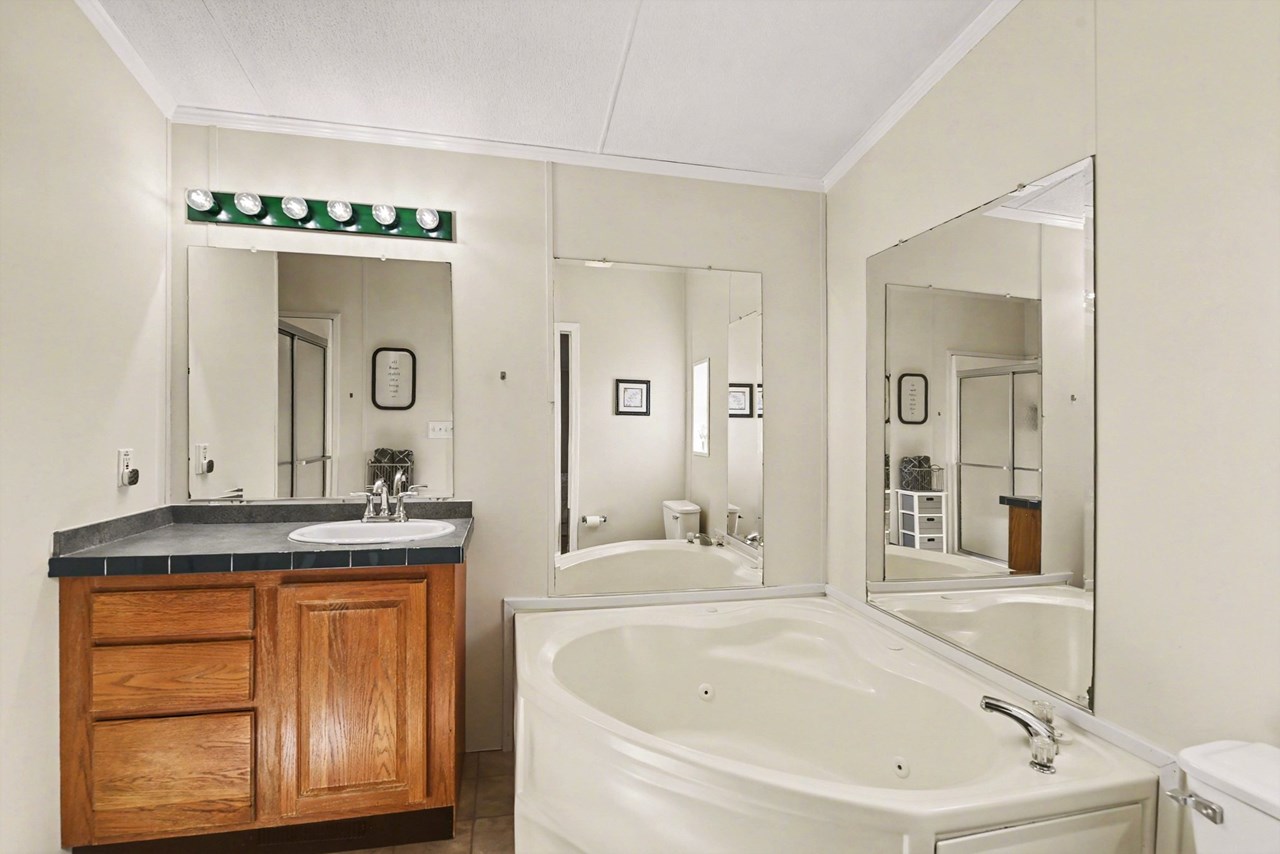 primary bathroom with jetted soaking tub