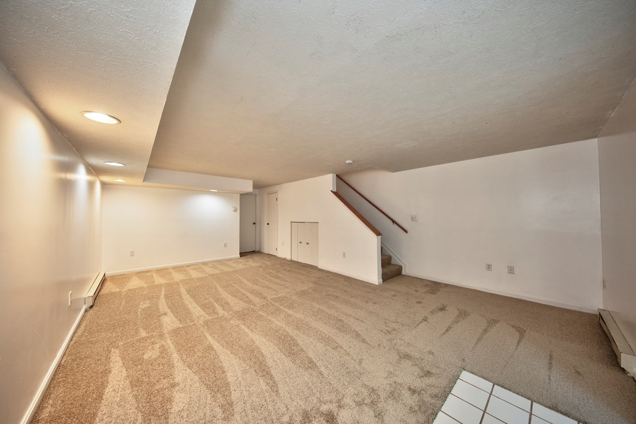 finished lower level with new carpet