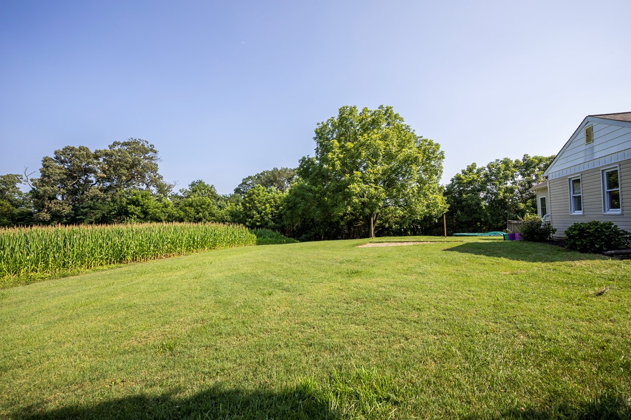 rear yard