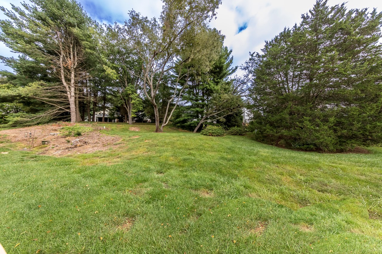 rear yard