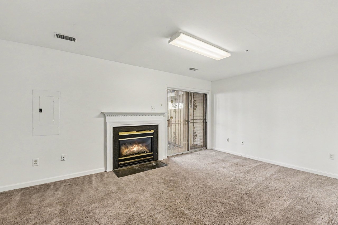 lower level with gas fireplace and walk out